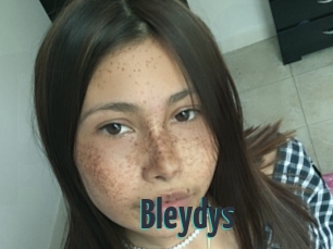 Bleydys