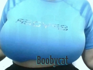 Boobycat