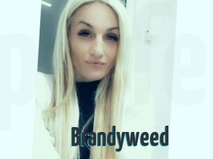 Brandyweed