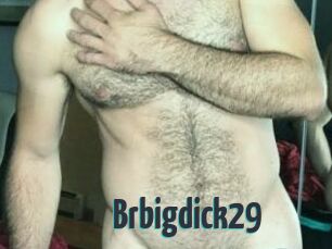 brbigdick29 Porn Fellow