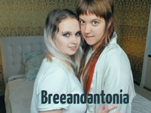 Breeandantonia