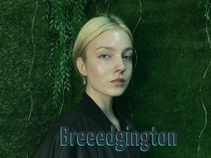 Breeedgington