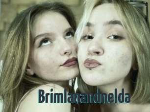 Brimlanandnelda