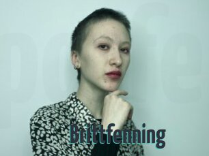 Brittfenning