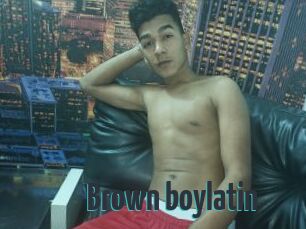 Brown_boylatin