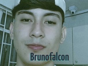 Brunofalcon