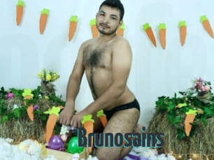 Brunosains