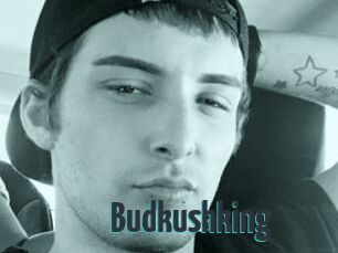 Budkushking