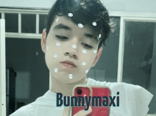 Bunnymaxi