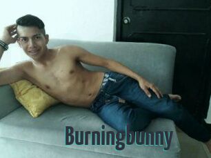 Burningbunny