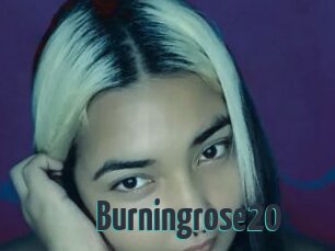 Burningrose20