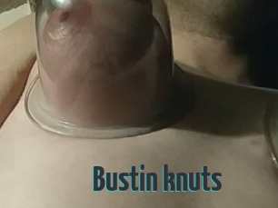 Bustin_knuts
