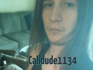 Calidude1134