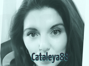 Cataleya88