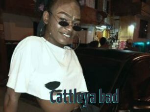 Cattleya_bad