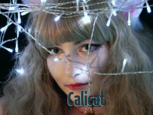 Calicat