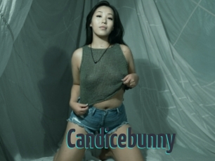 Candicebunny