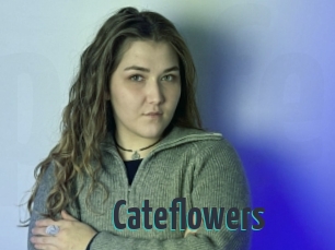 Cateflowers