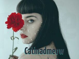 Catinadmeow