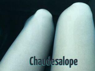 Chaudesalope