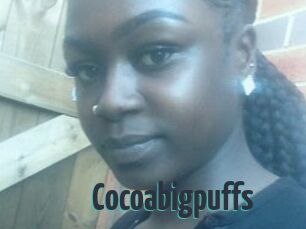 Cocoabigpuffs