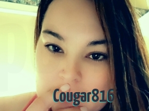 cougar816 Porn Fellow