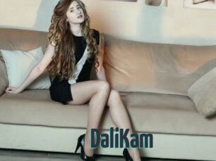 DaliKam