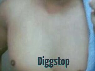 Diggstop