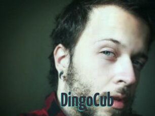 DingoCub