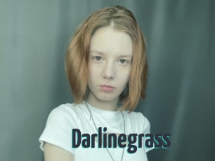 Darlinegrass