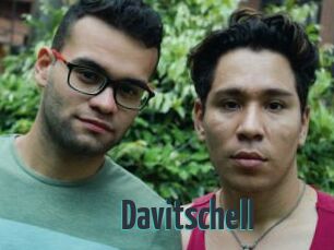 Davitschell