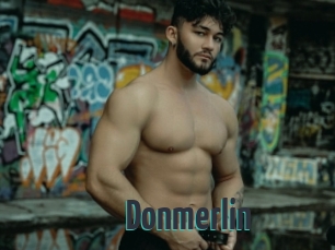 Donmerlin