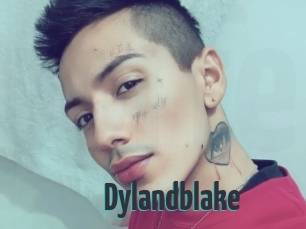 Dylandblake