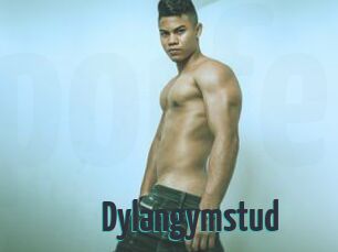 Dylangymstud