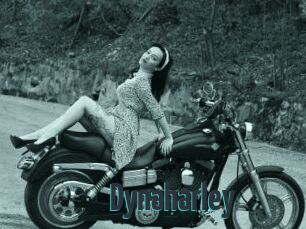 Dynaharley