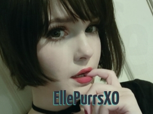 EllePurrsXO