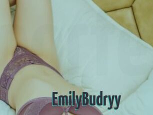 EmilyBudryy