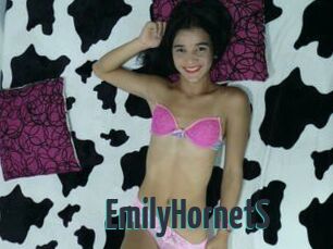 EmilyHornetS