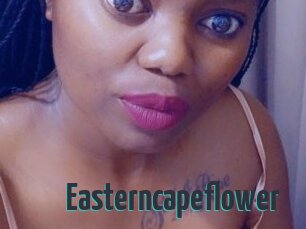 Easterncapeflower