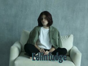 Edlinfudge