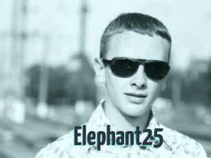 Elephant25