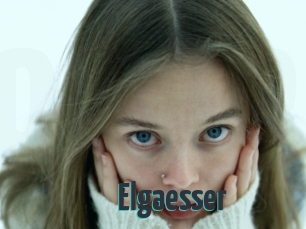 Elgaesser