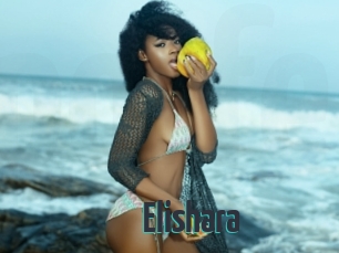 Elishara