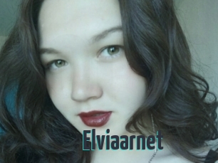 Elviaarnet