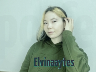 Elvinaaytes