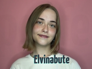 Elvinabute