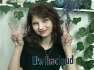 Elwinacloud