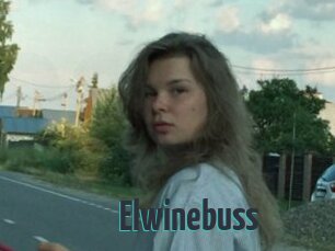 Elwinebuss