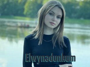 Elwynadunkum