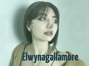 Elwynagallamore